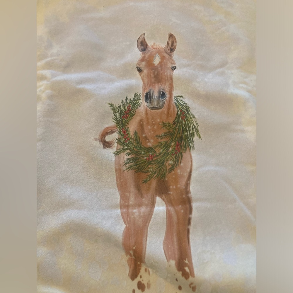 Women’s size small NWT Christmas Holiday new foal exclusive sweatshirt